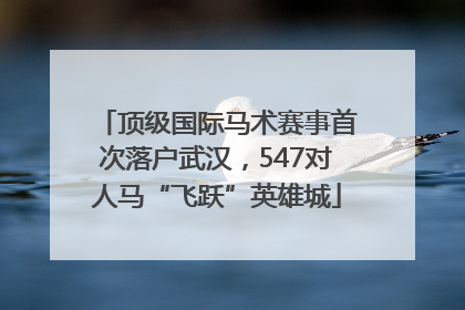 顶级国际马术赛事首次落户武汉，547对人马“飞跃”英雄城